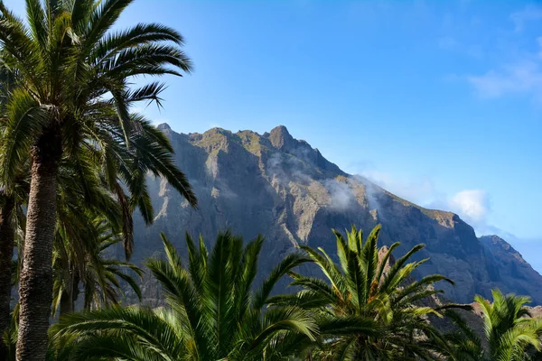 Teno mountains and palm trees at Masca on the Canary Island of Tenerife, Spain, Europe