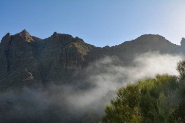 Fog in the green Teno Mountains near Masca on the Canary Island of Tenerife, Spain