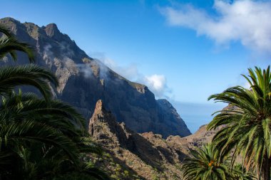 Teno mountains and palm trees at Masca on the Canary Island of Tenerife, Spain, Europe