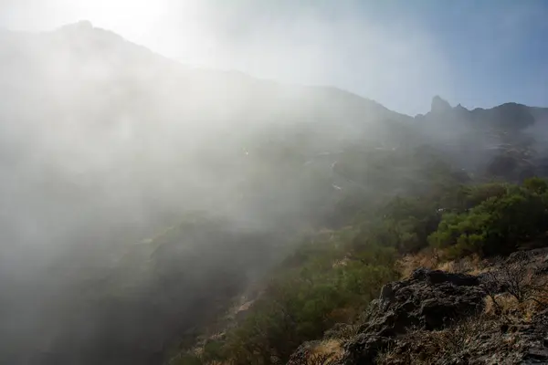 Nebel Grünen Teno Gebirge Bei Masca Mit Serpentinenstraßen Auf Der — Stockfoto