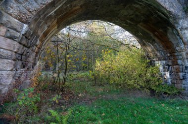 Hesse, Almanya ve Avrupa 'da ağaçları ve çalıları olan eski bir taş köprü kemeri.