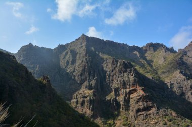 Tenerife, İspanya ve Avrupa 'nın Kanarya Adası' ndaki Masca 'da Teno Dağları