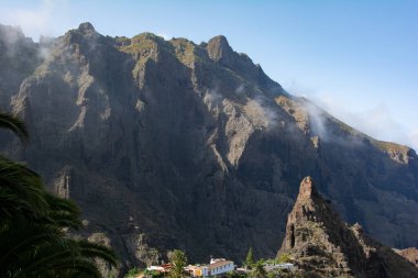 Masca 'nın küçük dağ köyü, Teno dağlarındaki Palmiye ağacı Tenerife, İspanya, Avrupa' daki Kanarya Adası 'nda.