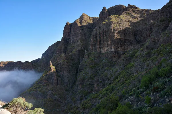 Góry Teno Mgłą Wyspie Masca Teneryfie Hiszpania Europa — Zdjęcie stockowe