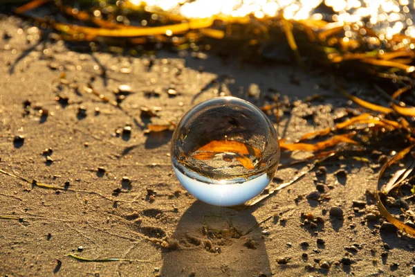 Glaskula Ligger Sanden Framför Vågorna Stranden Med Alger Och Havet — Stockfoto