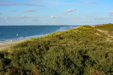Hollanda 'nın Kuzey Denizi kıyısındaki deniz ve kum tepeleri Schouwen-Duithe adasında