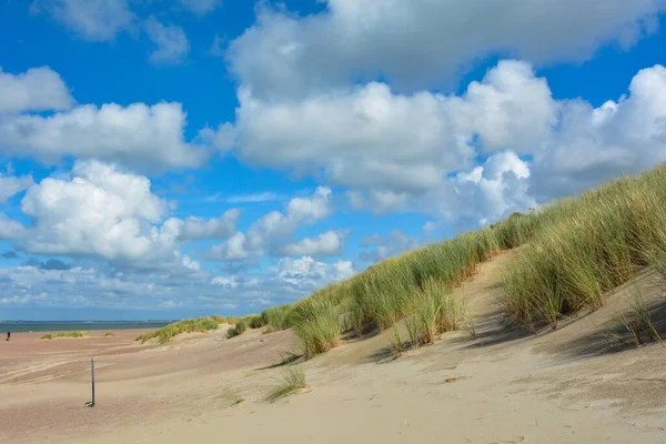 Mořské Písečné Duny Pobřeží Severního Moře Nizozemsku Ostrově Schouwen Duiveland — Stock fotografie