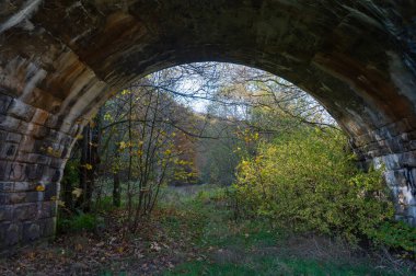 Hesse, Almanya ve Avrupa 'da ağaçları ve çalıları olan eski bir taş köprü kemeri.