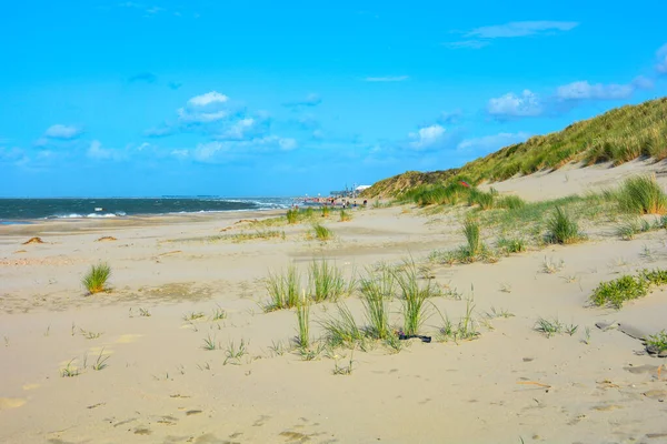 Spiaggia Dune Sabbia Sulla Costa Del Mare Del Nord Nei — Foto Stock
