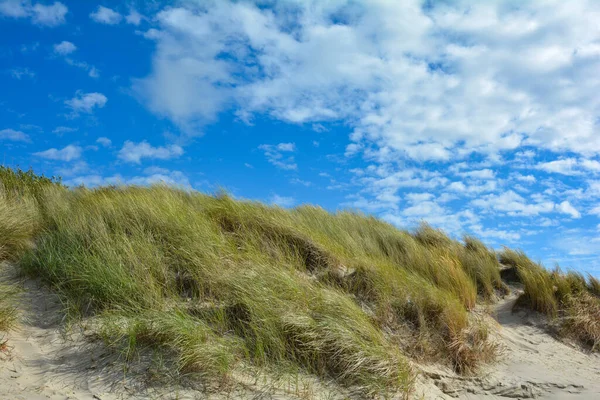 Beach Yulaf Adası Schouwen Duiveland Tarih Zeeland Hollanda Kuzey Denizi — Stok fotoğraf