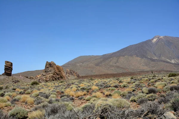 Extraña Roca Roque Cinchado Roca Volcánica Parque Nacional Del Teide —  Fotos de Stock