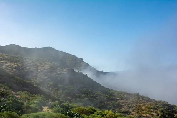 Mgła Zielonych Górach Teno Niedaleko Masca Wyspie Kanaryjskiej Teneryfie Hiszpania — Zdjęcie stockowe