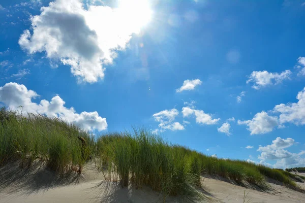 Pláž Ovsa Písečných Dunách Pobřeží Severního Moře Nizozemsku Provincii Zeeland — Stock fotografie