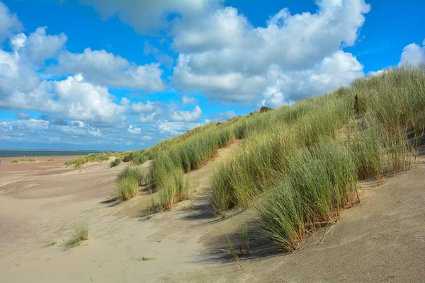 荷兰北海沿岸舒温 迪韦兰岛上的海沙沙丘 — 图库照片
