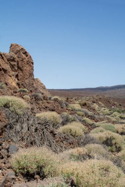 İspanya 'nın Tenerife Kanarya Adası' ndaki El Teide Ulusal Parkı 'ndaki volkanik arazide devasa kayalar.