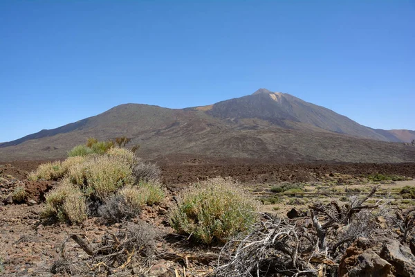 Montagne Pico Del Teide Aux Canaries Tenerife Espagne — Photo