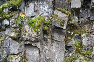Yeşil yosunlu yüksek kayalık taş duvar