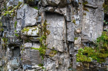 Yeşil yosunlu yüksek kayalık taş duvar