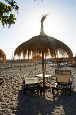 Torviscas Playa kumlu plajı, Palmiye ağaçları, deniz, güverte sandalyeleri, şemsiyeler ve güneş Kosta Adeje, Tenerife, İspanya