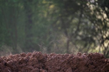 Taze buharlaşmış toprak yeşil doğada.