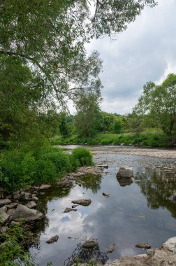Eder - Almanya 'da yeşil bir arazide bir nehir