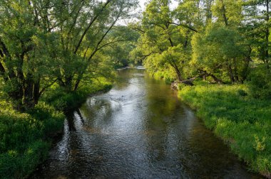 Eder - Almanya 'da yeşil bir arazide bir nehir