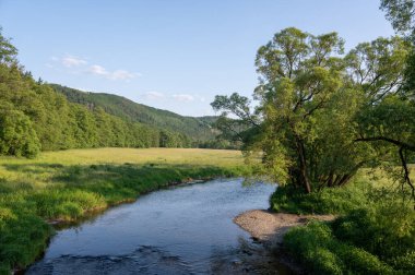 Eder - Almanya 'da yeşil bir arazide bir nehir