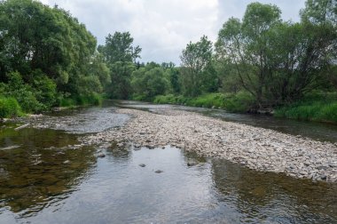 Eder - Almanya 'da yeşil bir arazide bir nehir