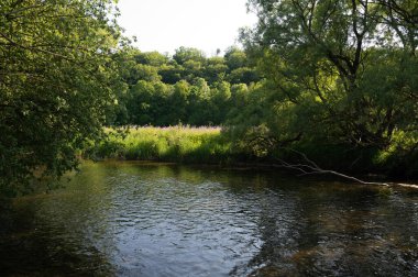 Eder - Almanya 'da yeşil bir arazide bir nehir