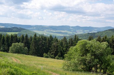 Yüksek Rhoen 'de ağaçları ve çayırları olan yeşil bir arazi.
