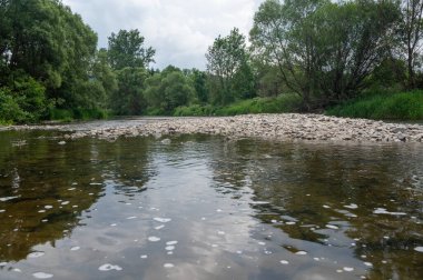 Eder - Almanya 'da yeşil bir arazide bir nehir