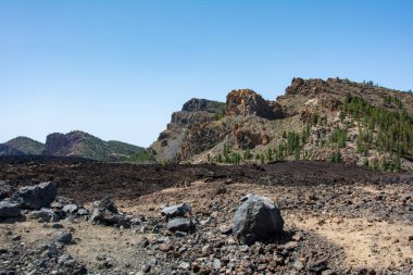 İspanya 'nın Tenerife Kanarya Adası' ndaki El Teide Ulusal Parkı 'ndaki volkanik manzara