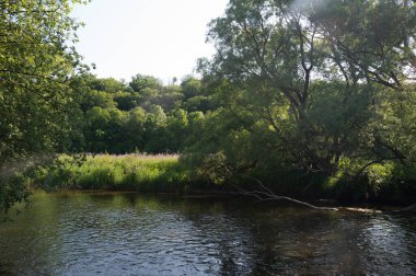 Eder - Almanya 'da yeşil bir arazide bir nehir