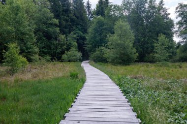 Rhoen 'da, Bavyera' da, Almanya 'da yeni bir bataklık yolu var.