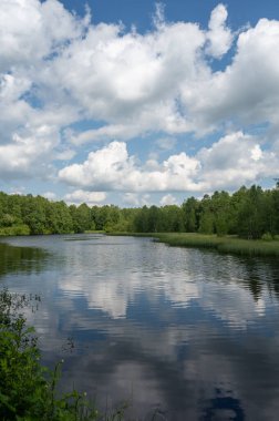 Rhoen, Hesse, Almanya 'daki kırmızı bozkırda bir rezervuar. Mavi gökyüzü, beyaz bulutlar ve sudaki yansımalarla
