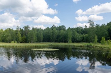 Rhoen, Hesse, Almanya 'daki kırmızı bozkırda bir rezervuar. Mavi gökyüzü, beyaz bulutlar ve sudaki yansımalarla