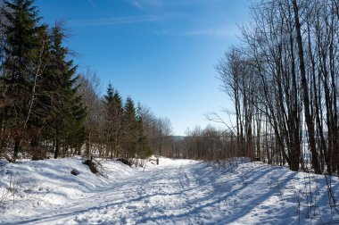A snowy path in a Landscape in winter with a lot of snow, bright sun and blue sky in the high Rhoen, Hesse, Germany