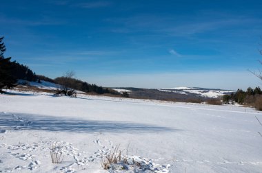 Lots of snow in nature, with trees and blue sky in the high Rhoen, Hesse, Germany