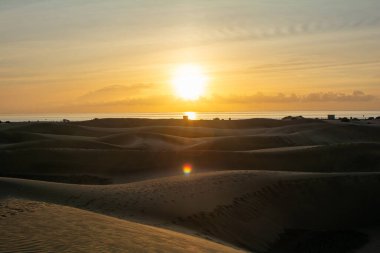 İspanya 'daki Gran Canaria' da Maspaloma 'nın kumullarında. Dev kum tepeleri küçük bir çöle benzer ve doğa koruma alanıdır..