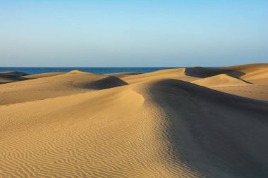 İspanya 'daki Gran Canaria' daki Maspaloma 'nın kumullarında. Mavi gökyüzü ile deniz manzarası. Dev kum tepeleri küçük bir çöle benzer ve doğa koruma alanıdır..