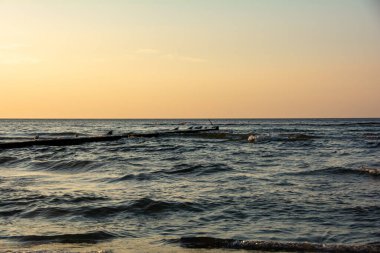 Dalgalar denizde, gökyüzü ve martı Groyne 'da