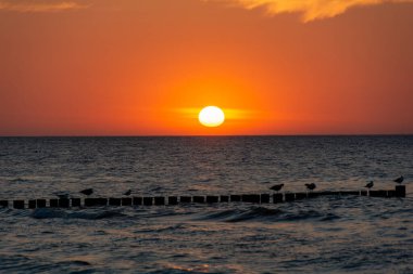 Orang - Okyanusun üzerinde kırmızı gün batımı, ahşap dalgalı su ve martılarla