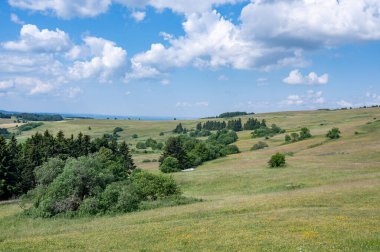 Yüksek Rhoen 'de ağaçları ve çayırları olan yeşil bir arazi.