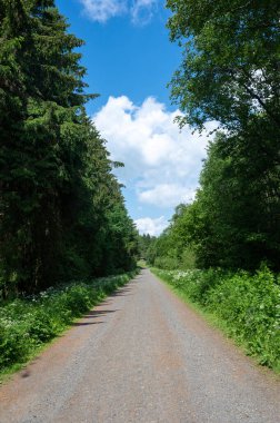 Mavi gökyüzü ve beyaz bulutlarla yeşil ağaçların arasındaki toprak yol