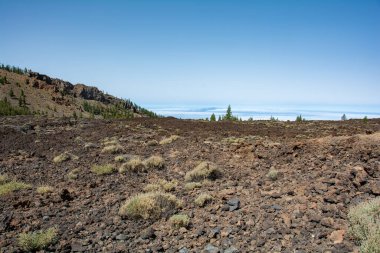 İspanya 'nın Tenerife Kanarya Adası' ndaki El Teide Ulusal Parkı 'ndaki volkanik manzara