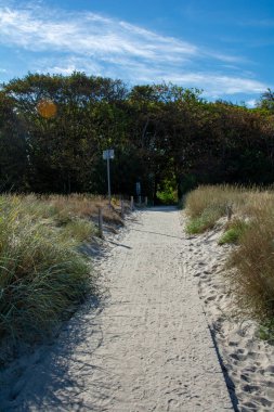 Kumsaldan kasabaya giden bir patika Ağaçlar ve mavi gökyüzü