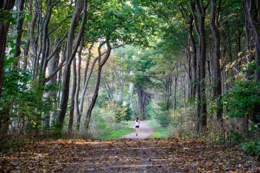Bir koşucu sonbahar ormanında koşar.