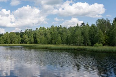 Rhoen, Hesse, Almanya 'daki kırmızı bozkırda bir rezervuar. Mavi gökyüzü, beyaz bulutlar ve sudaki yansımalarla