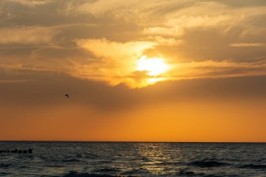 Orang - Bir kuşla okyanusun üzerinde kızıl gün batımı
