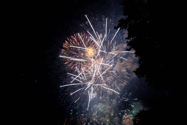 stock image Big colorful fireworks in the black night sky